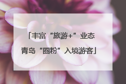 丰富“旅游+”业态 青岛“圈粉”入境游客