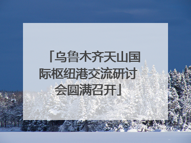 乌鲁木齐天山国际枢纽港交流研讨会圆满召开