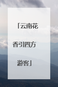 云南花香引四方游客