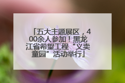 五大主题展区，400余人参加！黑龙江省希望工程“义卖童园”活动举行