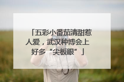 五彩小番茄清甜惹人爱，武汉种博会上好多“尖板眼”