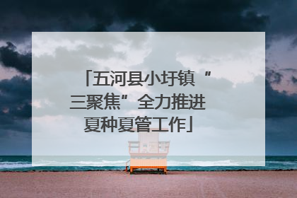 五河县小圩镇“三聚焦”全力推进夏种夏管工作