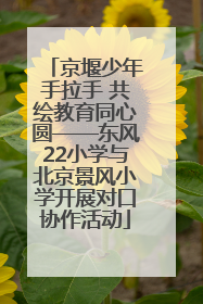 京堰少年手拉手 共绘教育同心圆——东风22小学与北京景风小学开展对口协作活动
