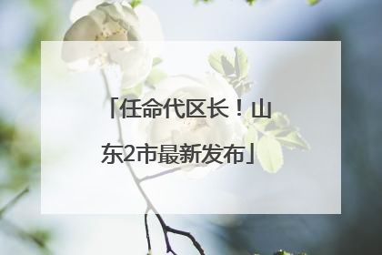 任命代区长！山东2市最新发布