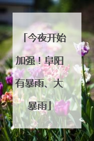 今夜开始加强！阜阳有暴雨、大暴雨
