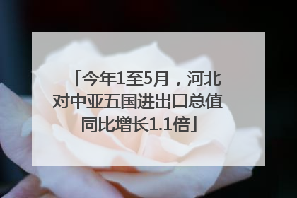 今年1至5月，河北对中亚五国进出口总值同比增长1.1倍