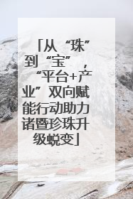 从“珠”到“宝”，“平台+产业”双向赋能行动助力诸暨珍珠升级蜕变