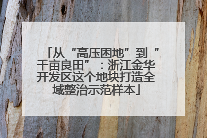 从“高压困地”到“千亩良田”：浙江金华开发区这个地块打造全域整治示范样本