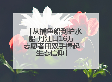 从捕鱼船到护水船 丹江口16万志愿者用双手捧起生态信仰