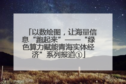 以数绘图，让海量信息“跑起来”——“绿色算力赋能青海实体经济”系列报道①