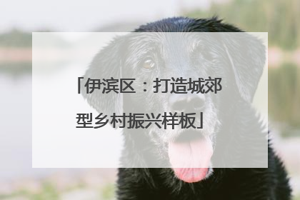 伊滨区：打造城郊型乡村振兴样板