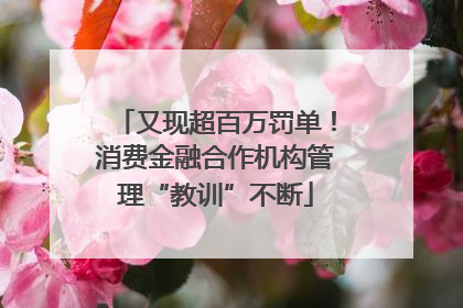 又现超百万罚单！消费金融合作机构管理“教训”不断