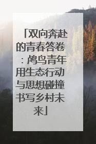 双向奔赴的青春答卷：鸬鸟青年用生态行动与思想碰撞书写乡村未来