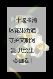 十堰张湾区花果街道守护文明河流 共绘生态画卷
