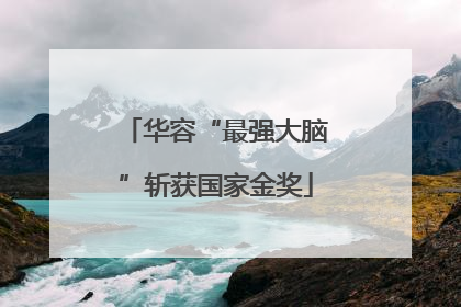 华容“最强大脑”斩获国家金奖