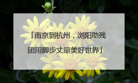 南京到杭州，浏阳助残团用脚步丈量美好世界
