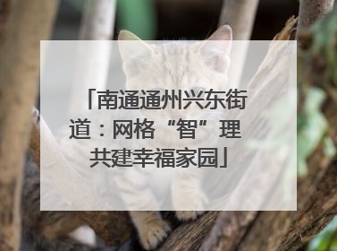 南通通州兴东街道：网格“智”理 共建幸福家园