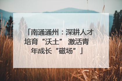 南通通州：深耕人才培育“沃土” 激活青年成长“磁场”