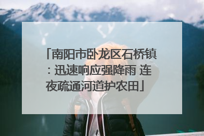 南阳市卧龙区石桥镇：迅速响应强降雨 连夜疏通河道护农田