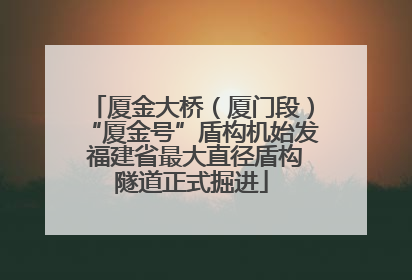 厦金大桥（厦门段）“厦金号”盾构机始发 福建省最大直径盾构隧道正式掘进