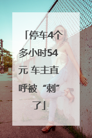 停车4个多小时54元 车主直呼被“刺”了