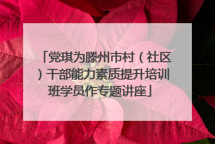 党琪为滕州市村（社区）干部能力素质提升培训班学员作专题讲座