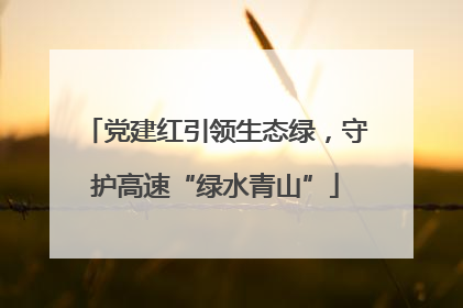 党建红引领生态绿，守护高速“绿水青山”