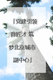 党建引领育匠才 筑梦北京城市副中心