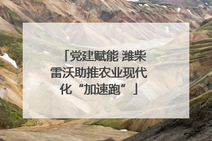 党建赋能 潍柴雷沃助推农业现代化“加速跑”