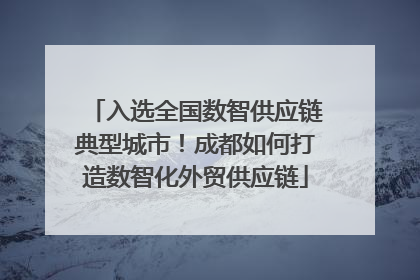入选全国数智供应链典型城市！成都如何打造数智化外贸供应链