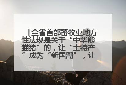 全省首部畜牧业地方性法规是关于“中华熊猫猪”的，让“土特产”成为“新国潮”，让“农产品”升格为“城市IP”