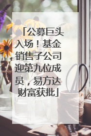 公募巨头入场！基金销售子公司迎第九位成员，易方达财富获批