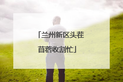 兰州新区头茬苜蓿收割忙
