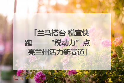 兰马搭台 税宣快跑——“税动力”点亮兰州活力新赛道