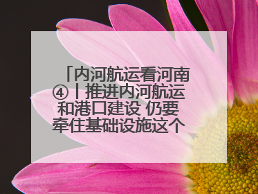内河航运看河南④丨推进内河航运和港口建设 仍要牵住基础设施这个“牛鼻子”