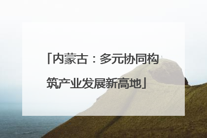 内蒙古：多元协同构筑产业发展新高地