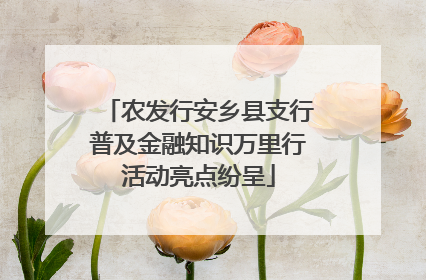 农发行安乡县支行普及金融知识万里行活动亮点纷呈