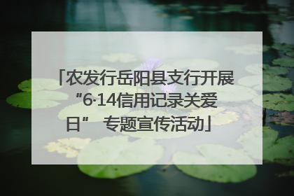 农发行岳阳县支行开展“6·14信用记录关爱日” 专题宣传活动