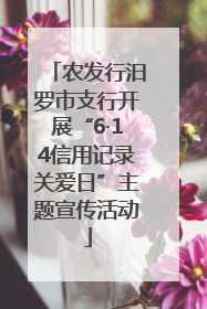 农发行汨罗市支行开展“6·14信用记录关爱日”主题宣传活动