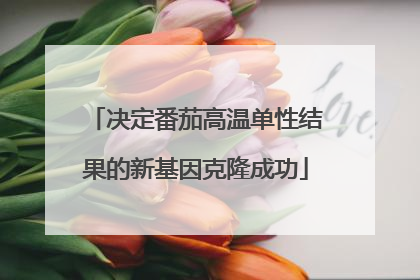 决定番茄高温单性结果的新基因克隆成功