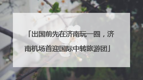 出国前先在济南玩一圈，济南机场首迎国际中转旅游团