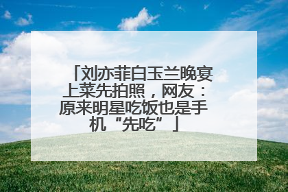 刘亦菲白玉兰晚宴上菜先拍照，网友：原来明星吃饭也是手机“先吃”