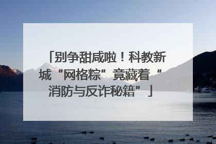 别争甜咸啦！科教新城“网格粽”竟藏着“消防与反诈秘籍”