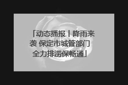 动态播报丨降雨来袭 保定市城管部门全力排涝保畅通
