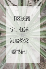 区长顾宇，任洋河股份党委书记