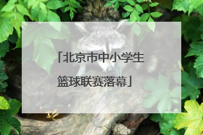 北京市中小学生篮球联赛落幕