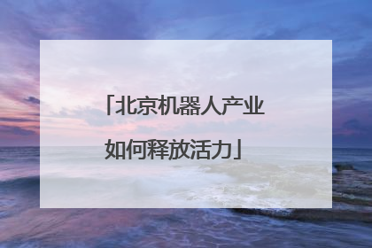 北京机器人产业如何释放活力