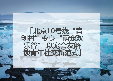 北京10号线“青创村”变身“萌宠欢乐谷” 以宠会友解锁青年社交新范式