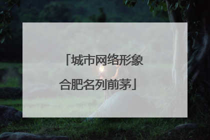 城市网络形象合肥名列前茅