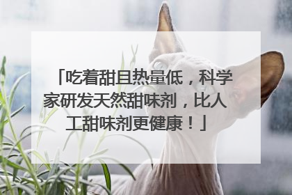 吃着甜且热量低，科学家研发天然甜味剂，比人工甜味剂更健康！